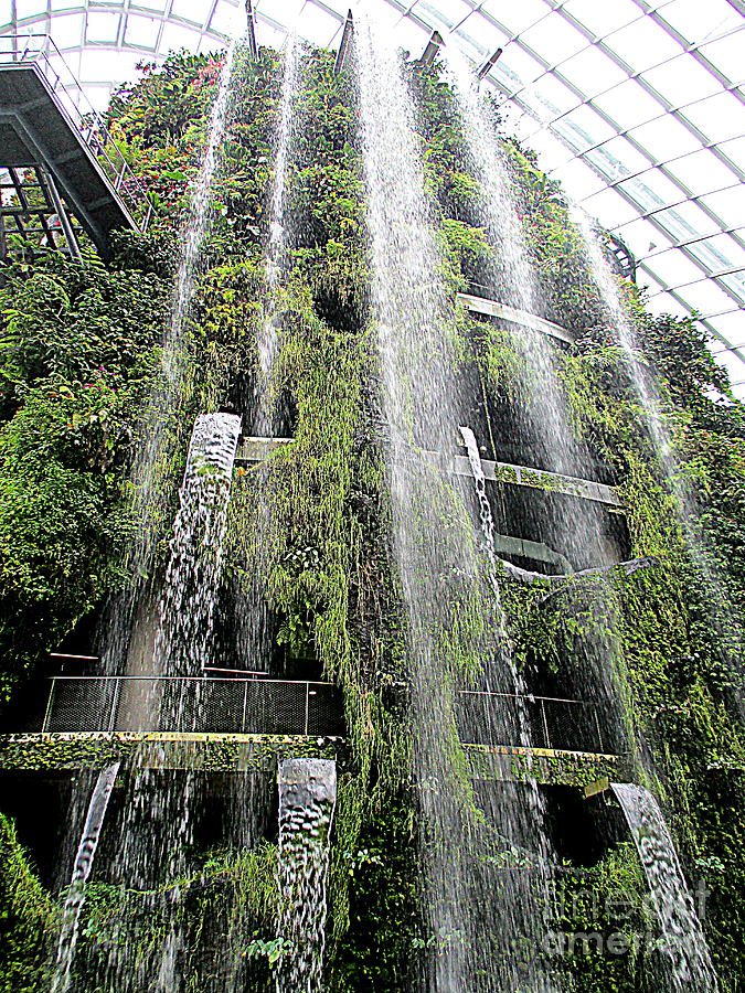 Cloud Forest 3 Photograph by Randall Weidner