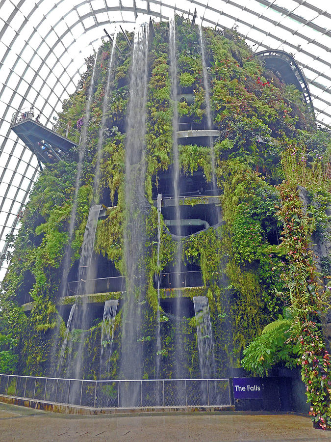Cloud Forest 3 Photograph by Ron Kandt