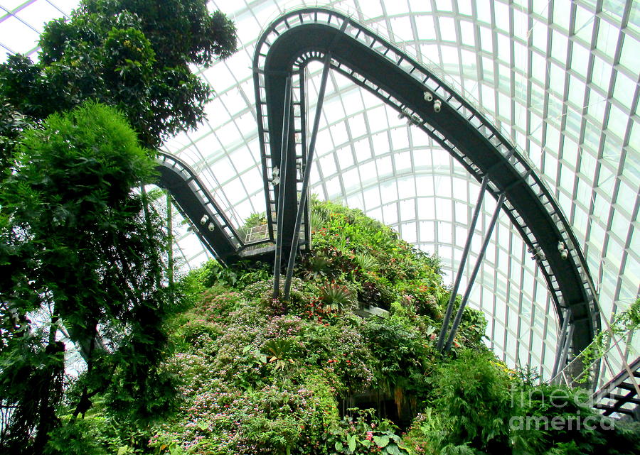 Cloud Forest 4 Photograph by Randall Weidner
