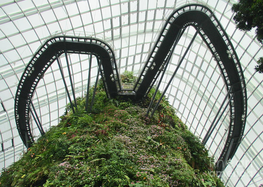 Cloud Forest 6 Photograph by Randall Weidner