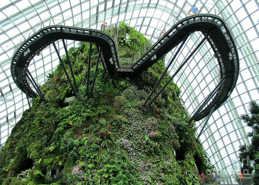 Cloud Forest 7 Photograph by Randall Weidner