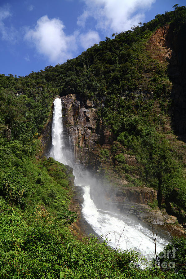 Cloud Forest and Rincon Del Tigre Waterfall Yungas Bolivia Photograph by James Brunker