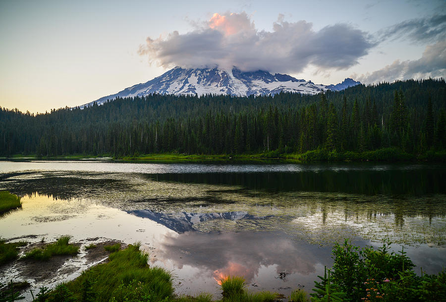 Mount Rainier National Park Photograph - Cloud Hog by Kristopher Schoenleber