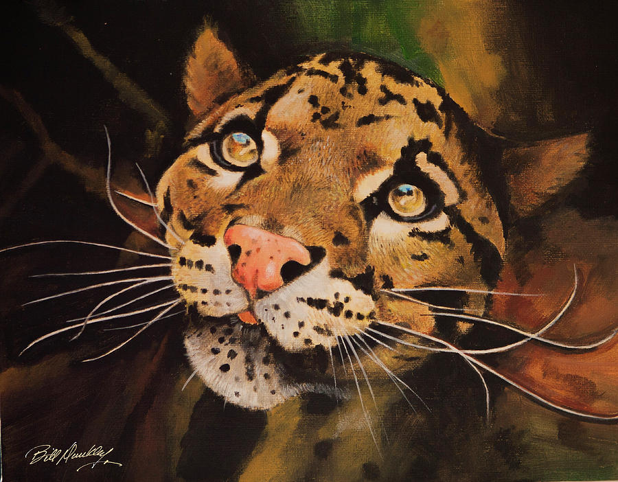 Clouded Leopard Painting by Bill Dunkley - Fine Art America