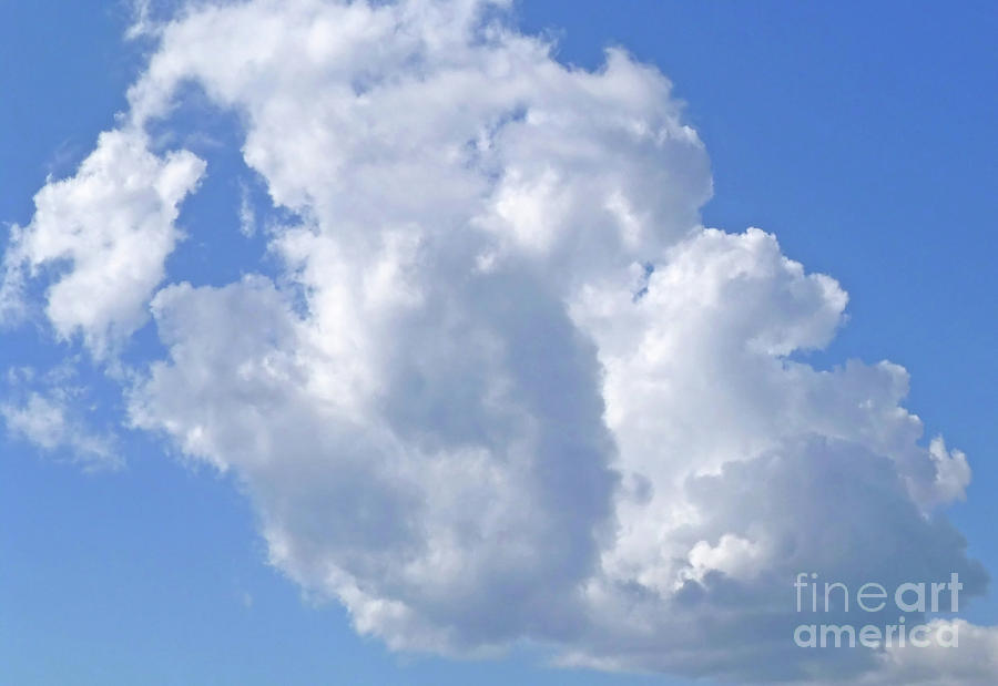 Cloud m1 Photograph by Francesca Mackenney