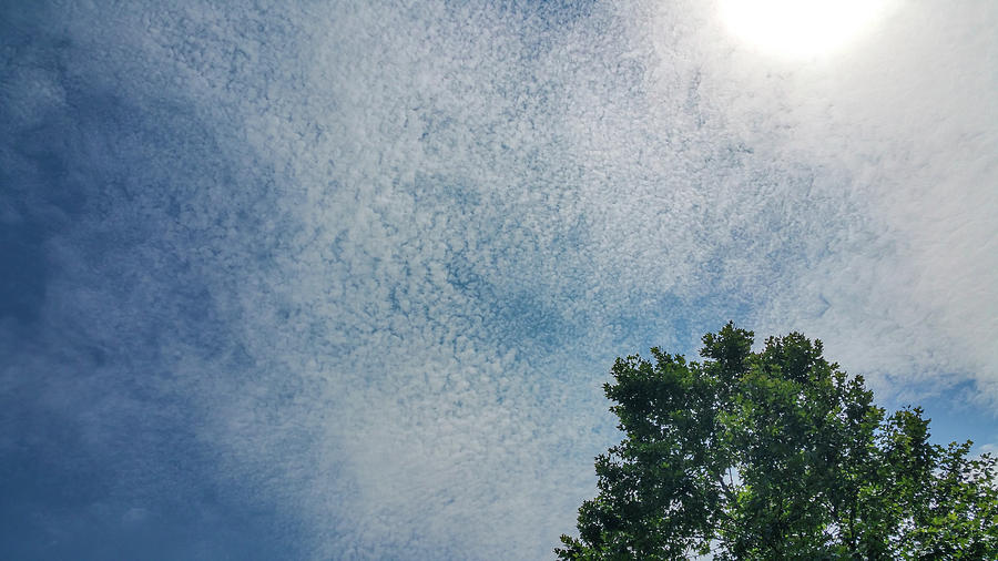 Cloud Pattern on a Summer Day Photograph by Srinivasan Venkatarajan