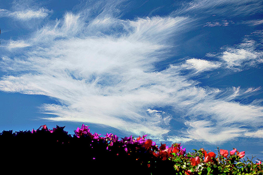Cloud Patterns Photograph by Bette Phelan