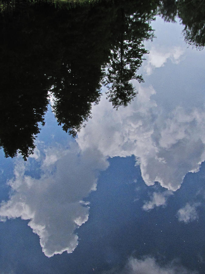 Cloud Reflections on Lake Howard Photograph by Christopher Mercer