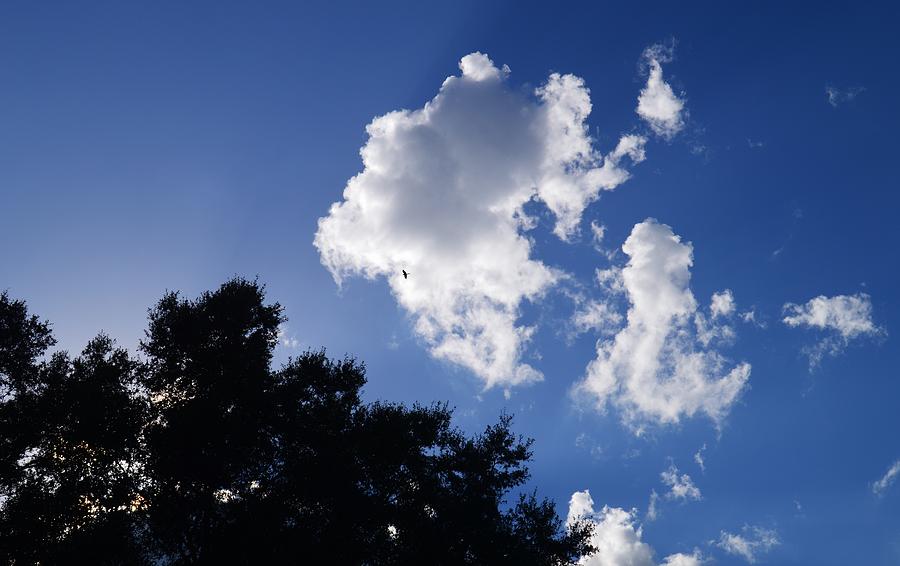 Cloud Shapes Photograph by Warren Thompson