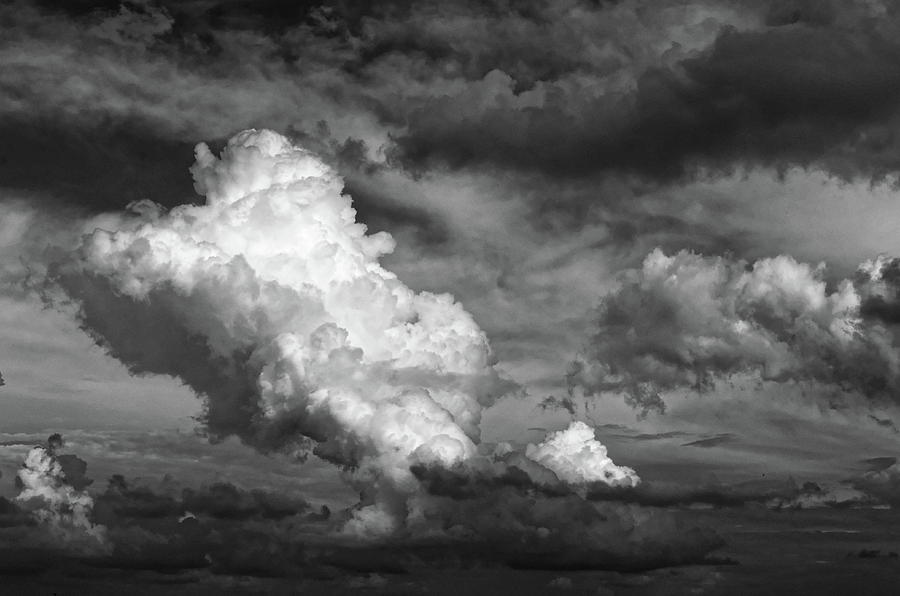 cloud study No.2 Photograph by Tom Druin