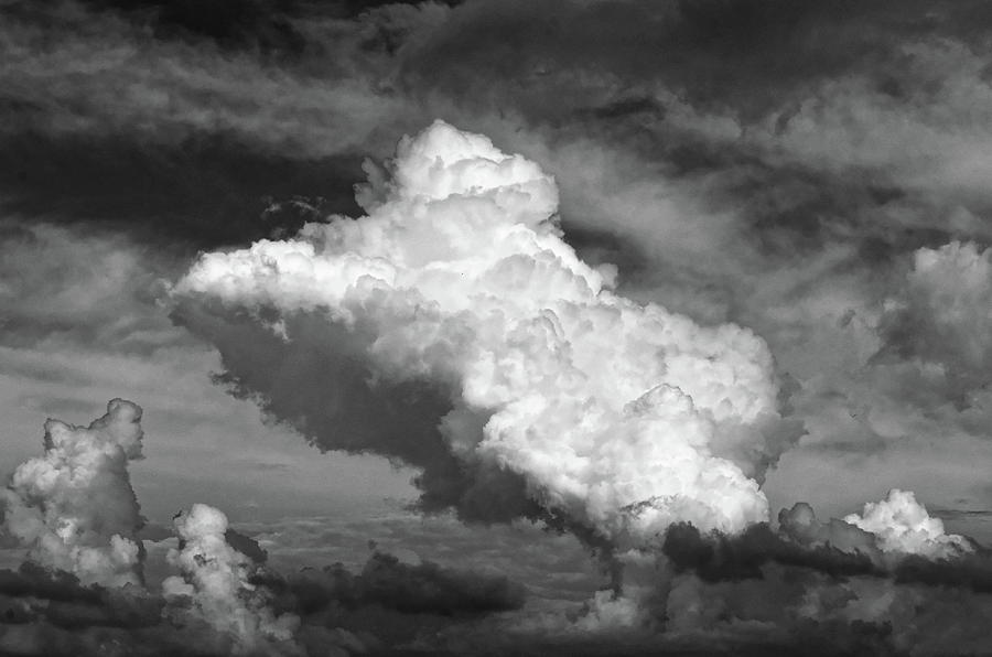 cloud study No.3 Photograph by Tom Druin