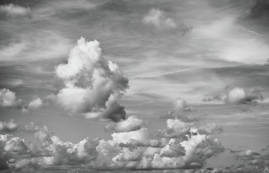 Drifting Photograph - Cloud Study by Tom Druin