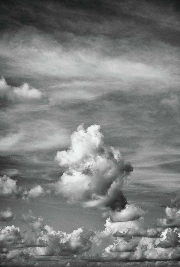 Cloud Study ...vertical Photograph by Tom Druin