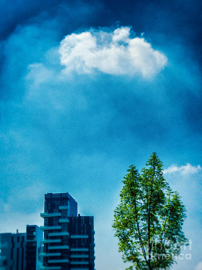 Cloud tree buildings Photograph by Silvia Ganora