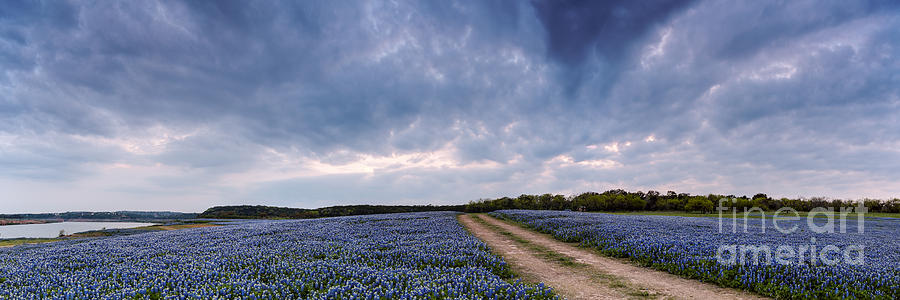 Cloud Vortex Over Bluebonnets at Muleshoe Bend Recreation Area - Spicewood Texas Hill Country Photograph by Silvio Ligutti