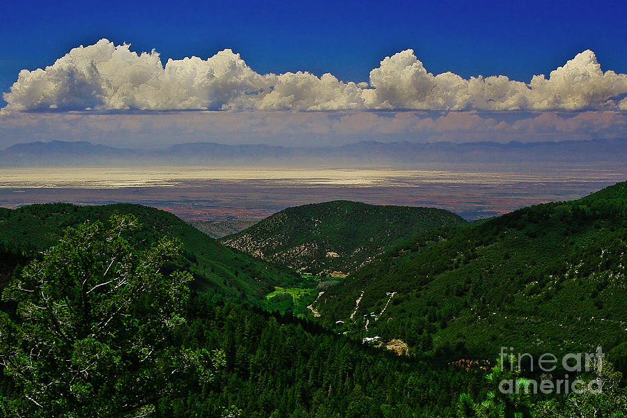 Nature Photograph - Cloudcroft Canyon View by Jennifer Sensiba