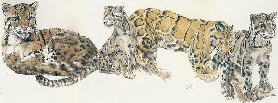 Clouded Leopard Wrap Mixed Media by Barbara Keith