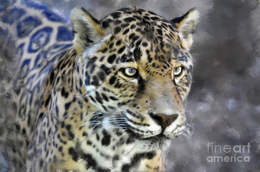 Clouded Leopard potrait Digital Art by Savannah Gibbs
