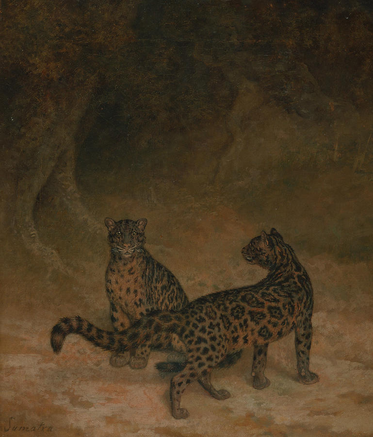 Clouded Leopards Painting by Jacques-Laurent Agasse