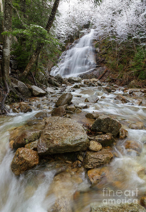 Nature Photograph - Cloudland Falls - Franconia Notch, New Hampshire by Erin Paul Donovan