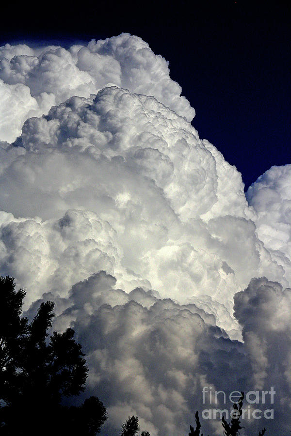 Clouds 2 Photograph by John Langdon