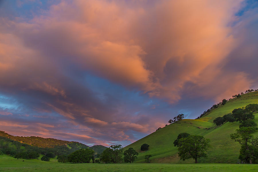 Tree Photograph - Clouds Above Round Valley at Sunrise by Marc Crumpler