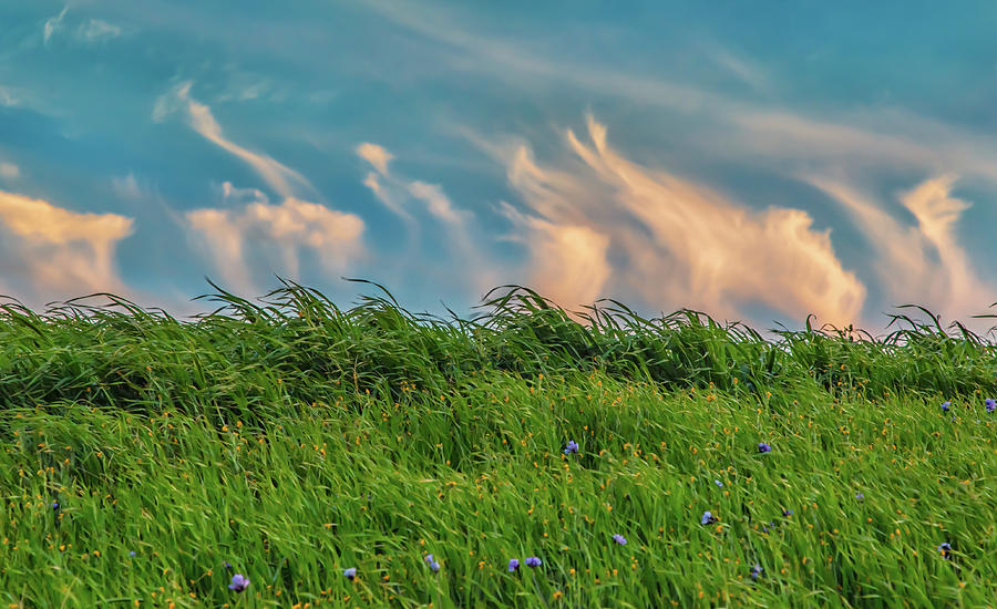 Clouds Above Spring Wildflowers Photograph by Marc Crumpler