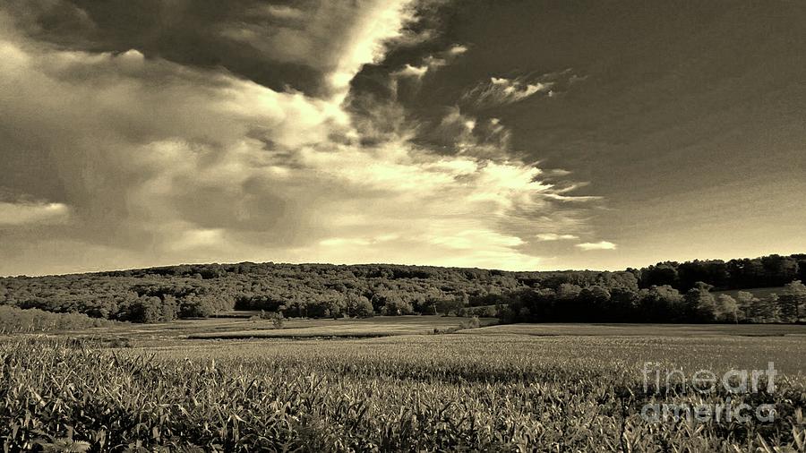 Clouds And Cornfields Photograph
