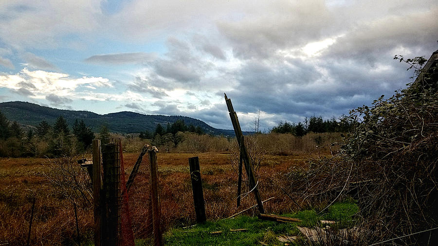 Clouds and Field Photograph by Chriss Pagani