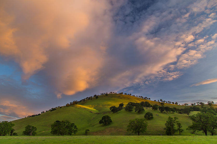 Tree Photograph - Clouds and Hill at Sunrise by Marc Crumpler