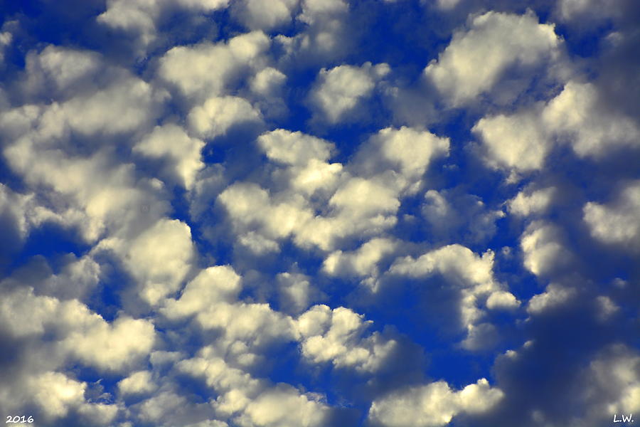 Clouds And Sky Photograph by Lisa Wooten