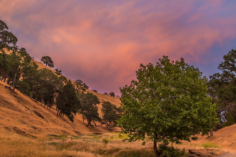 Tree Photograph - Clouds at Sunset above Round Valley by Marc Crumpler