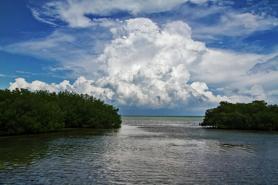 Clouds Between the Mangroves Photograph by Bob Slitzan