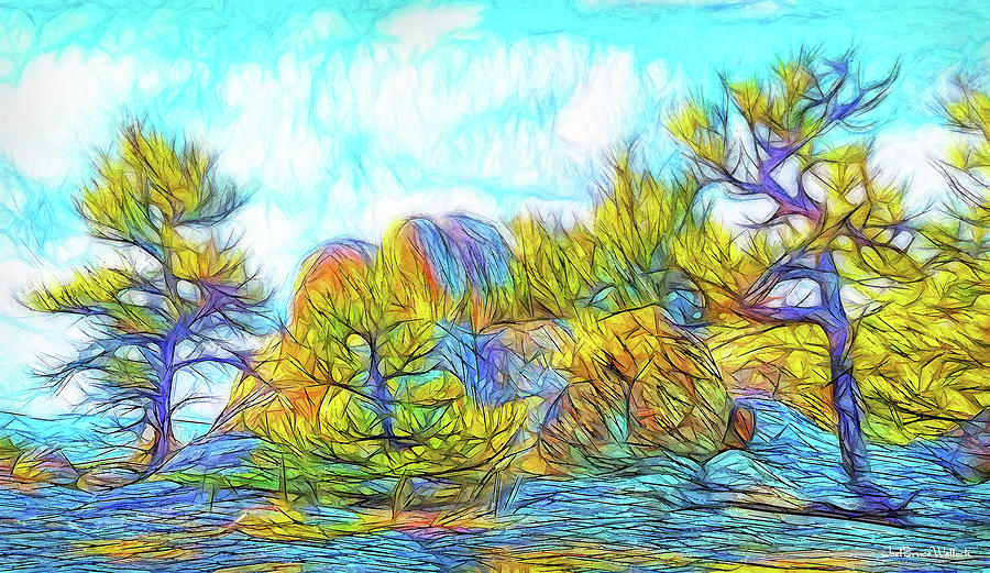 Clouds Embrace Pines - Colorado Mountain Trees Digital Art by Joel Bruce Wallach