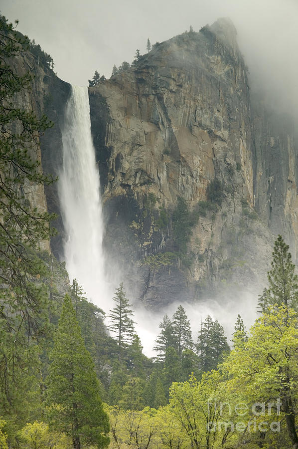 Yosemite National Park Photograph - Clouds Hang Over Bridaveil Falls by Inga Spence