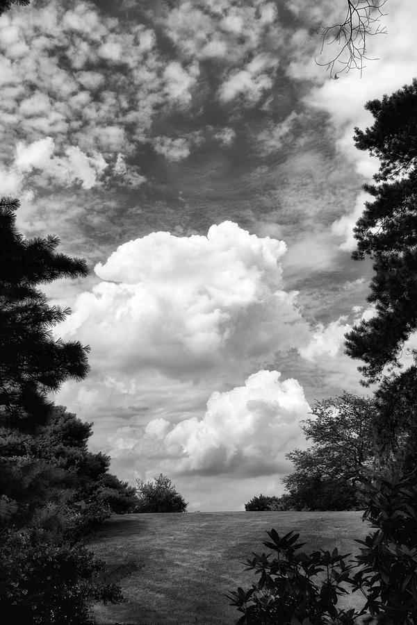Clouds Illusions Photograph by Jessica Jenney