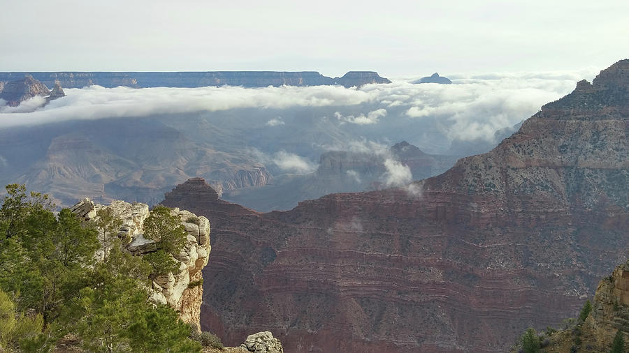 Clouds in the Grand Canyon Photograph by Liza Eckardt