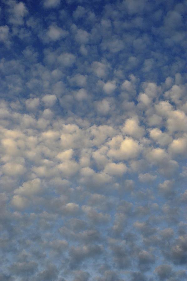 Clouds In The Sky One Day  Photograph by Lyle Crump
