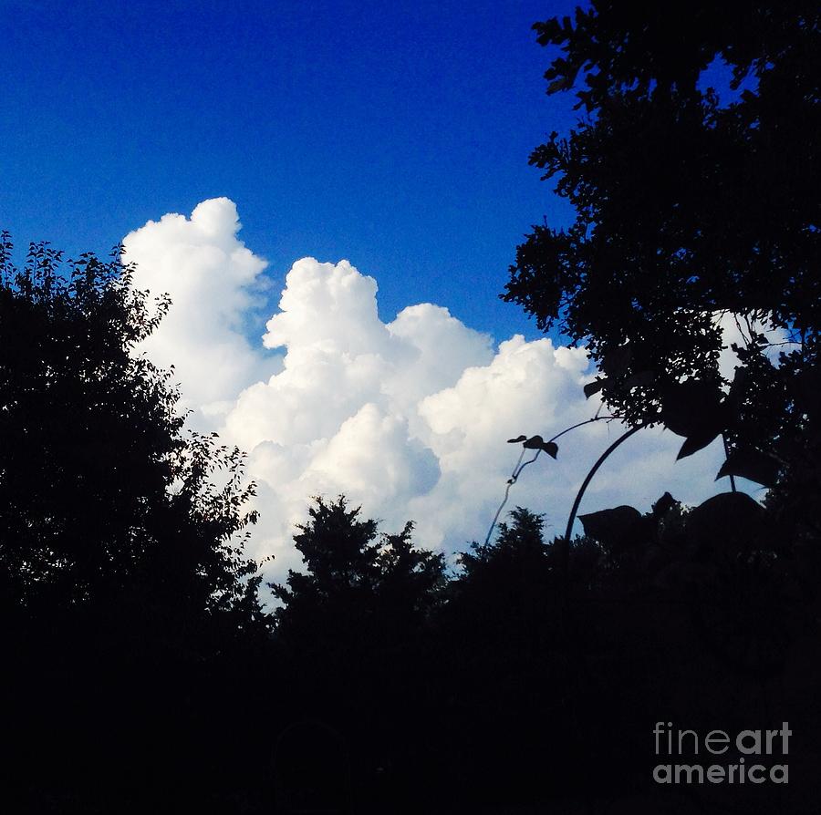 Clouds Photograph by Karen Newell