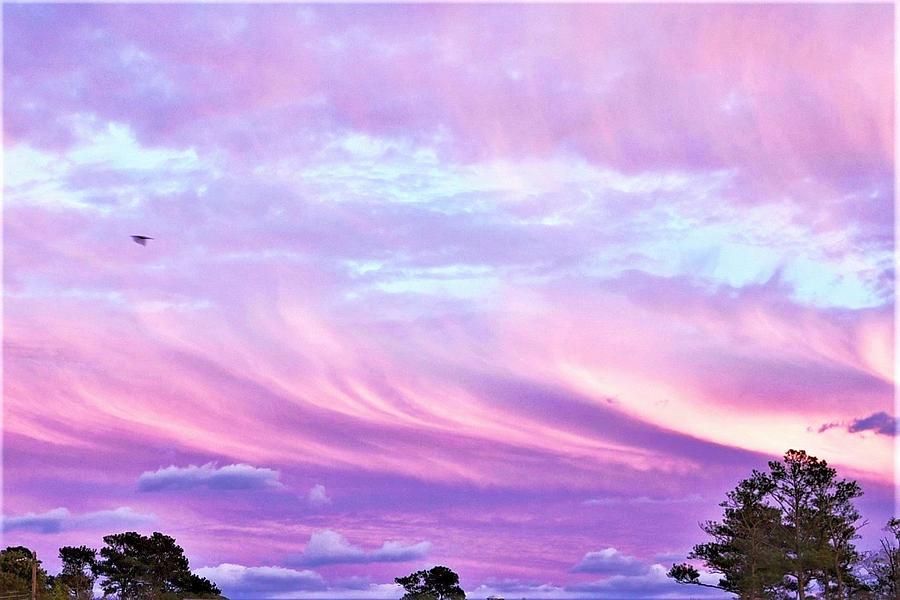 Clouds Mares at Sunset Photograph by Kim Bemis