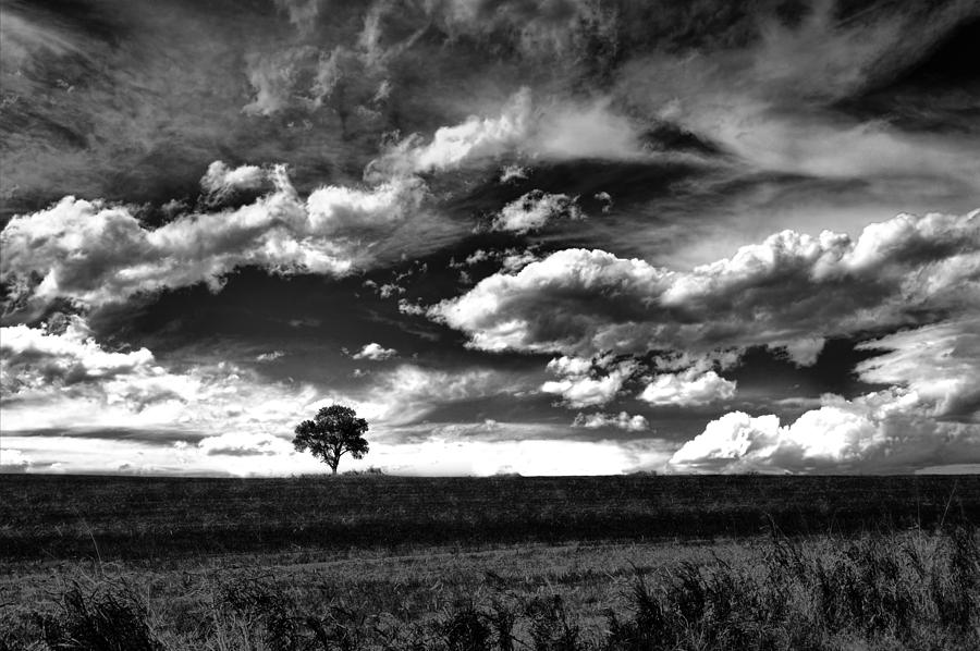 Clouds On The Prairie - black and white photography Photograph by Ann Powell