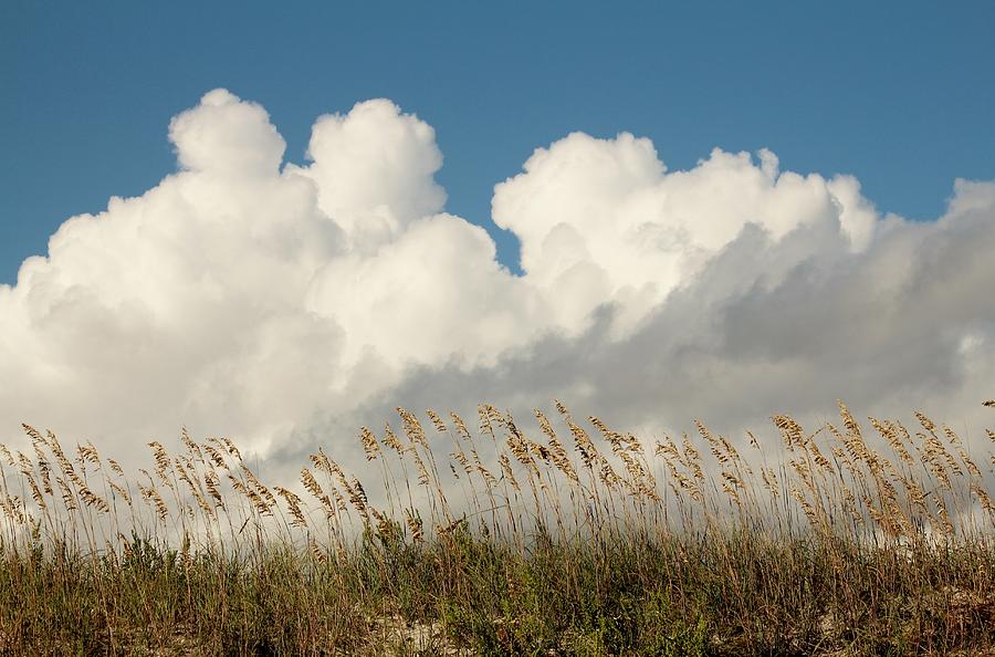 Clouds Over Beach Weeds Photograph by Cynthia Guinn