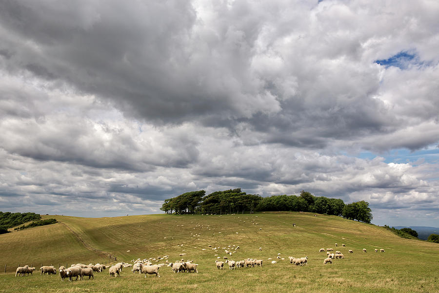 Clouds over Chanctonbury Ring, near Worthing Photograph by Len Brook