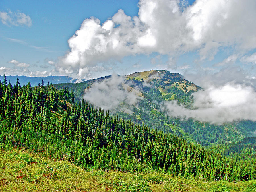 Clouds over Hurricane Ridge, Olympic National Park, Washington Photograph by Ruth Hager