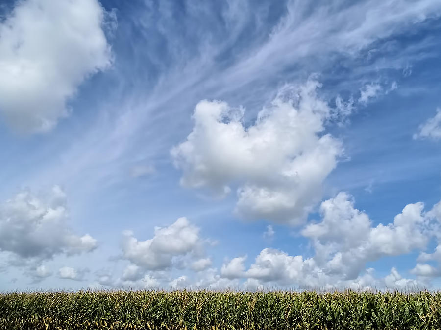 Clouds Over Illinois Corn Field Photograph by Theresa Campbell