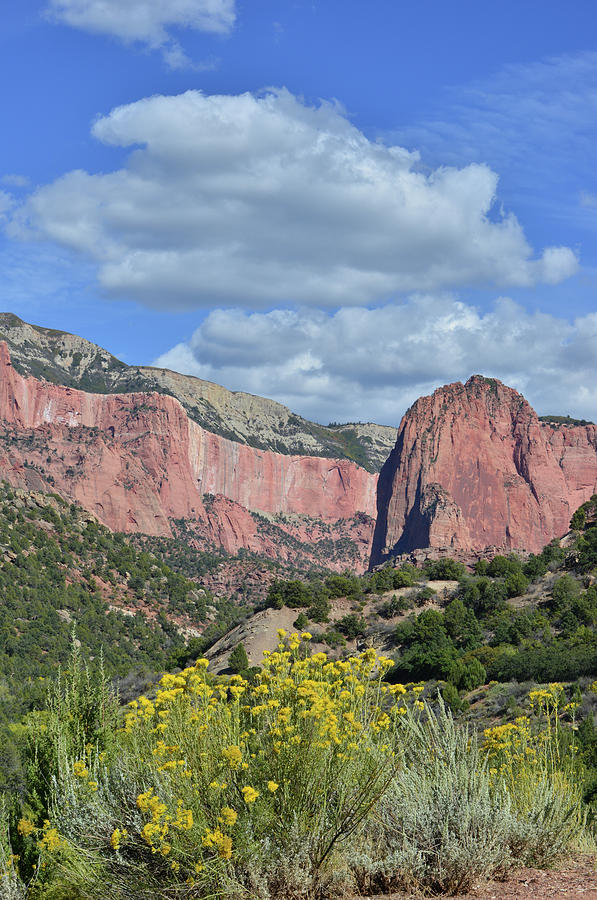 Clouds over Kolob Canyon Terrace Photograph by Ray Mathis
