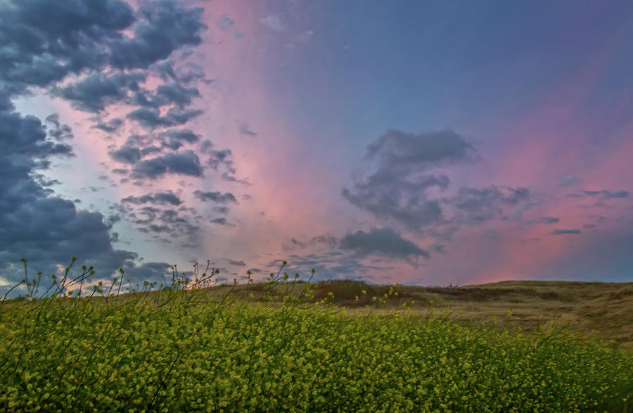 Clouds Over Mustard at Sunset Photograph by Marc Crumpler