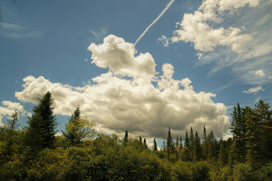 Clouds Over The Evergreens Photograph