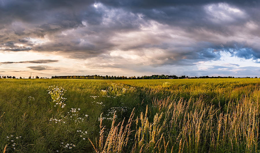Clouds over the fields Photograph by Dmytro Korol