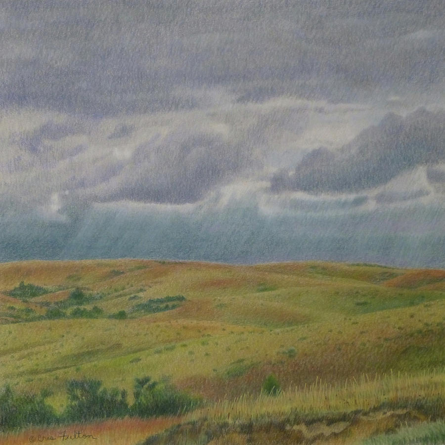 Clouds over the Grasslands Pastel by Cris Fulton